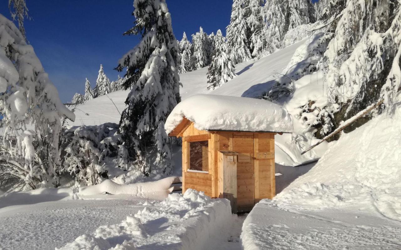 Panorama Himmelreichhof Chalet